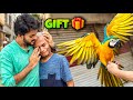 FINALLY MUNNE KO SURPRISE GIFT DE KAR MANA LIA 😍 | MISHKAT KHAN