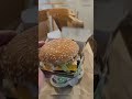 McPlant McDonald's Vegan Burger #shorts #short #badfoodblog