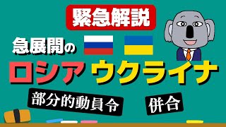 【アニメで解説】ウクライナ戦争の現状とロシアの4州併合の意味は？