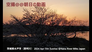 空撮＠＠朝日の動画     茨城県水戸市（那珂川） 2024 Apr 11th Sunrise @Naka River Mito Japan