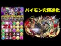 【パズドラ】パイモン究極進化！十字3つで激減＆729倍！