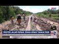 Protes Jalan Rusak, Warga di Lampung Ramai-Ramai Tanam Padi