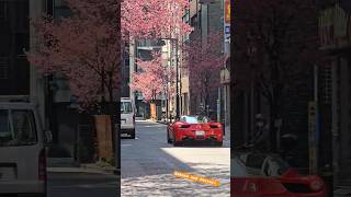 Sakura and Ferrari in Japan #ferrari #japantrip #japan #sakura #road