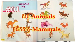 Name Of Animals (vocabulary) /រៀនពាក្យសត្វក្នុងព្រៃ /Ching Pov  #01