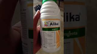 Syngenta Alika || Syngenta Insecticide|| Alika insecticide|| thiamethoxsam insecticide #shorts