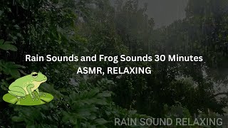 Relaxing Sleep With the Sound of Rain and Rainforest Animals || Sleep With Frog Sounds