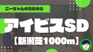 【2023アイビスSD】新潟芝1000ｍの特徴と馬場傾向（トラックバイアス）