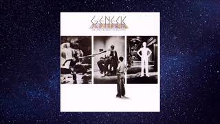 Fly on a Windshield - Genesis