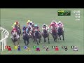 hong kong horse racing derby series the racing replay of hong kong classic cup from 2011 2020