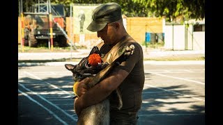 У Сумах змагаються службові собаки