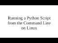 Running a Python script from the CLI on Linux