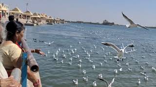 Triveni Sangam ll Veneshwar Mahadev ll Somnath ll Gujrat