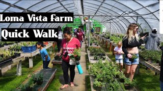 Quick walk through Loma Vista Farm in the bay area | Traveling Kids