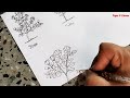 shrubs drawing ll how to draw shrub plants ll rose pomegranate jasmine tulsi lemon tree drawing.