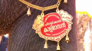 Team Narahari Anayadi Pooram [നരഹരിയുടെ മണ്ണിൽ ചിറയ്ക്കൽ കാളിദാസൻ]