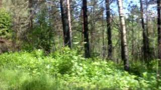 SDC12768.AVI