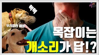 [보컬연구소] 목잡이 현상 해결은 개소리!? / 개소리로 목잡이 탈출하자