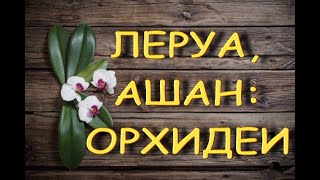 ЛЕРУА,Ашан:ЗАВОЗ ОРХИДЕЙ,оказывается,ВОН,ЧЁ БЫЛО! :)) 19.03.21,ТЦ \