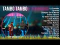 tambo tambo 2024 mix grandes exitos la cumbita querida siempre en mi mente enero a enero