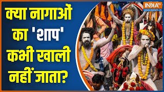 Prayagraj Mahakumbh 2025: नागाओं के शिविर में कौन सी तपस्या हो रही? CM Yogi | Shahi Snan |Naga Shadu