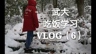 【武大VLOG 】2018最后一天也只是普通的一天 没什么特别的