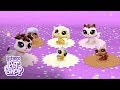 Littlest Pet Shop España - ¡Nueva colección Dulce!