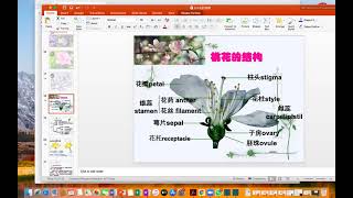 初二综合科学上册 第六章 植物的一生 part 8