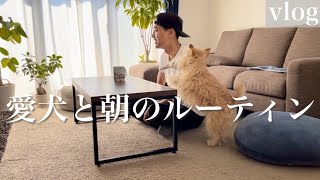 【vlog】朝のルーティン。愛犬との過ごし方。レークランドテリア(lakeland terrier)