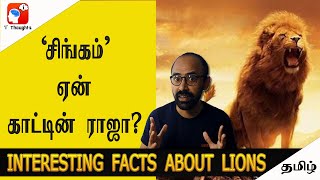 சிங்கம் ஏன் காட்டின் ராஜா? Interesting Facts about Lions | Interesting Thoughts Tamil