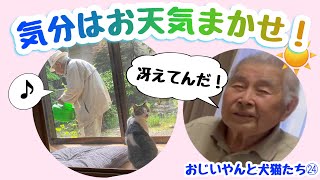 おじいやんと犬猫たち㉔気分はお天気まかせ！の巻