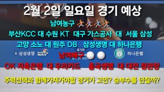 스포츠토토 프로토 2월 2일 일요일 남여농구 🏀🏀🏀🏀 여자배구 🏐🏐 모든 경기 예상