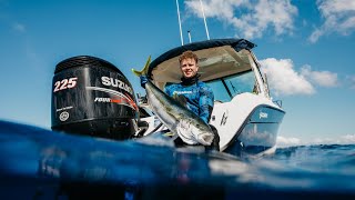 Spearfishing and diving the Mercury Islands + Game fishing for Striped Marlin