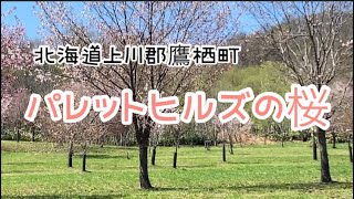 「旅Navi】上川郡鷹栖町パレットヒルズからですが　いきなりでごめんなさい🙇‍♀️