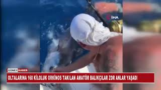 OLTALARINA 160 KİLOLUK ORKİNOS TAKILAN AMATÖR BALIKÇILAR ZOR ANLAR YAŞADI