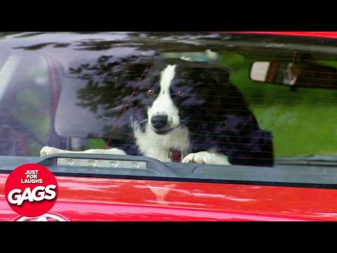 Most Dangerous Pranks Compilation Just For Laughs Gags Just For Laughs