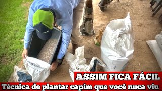 COMO PLANTAR CAPIM FÁCIL E PRÁTICO | ASSIM O PASTO FORMA MAIS RÁPIDO