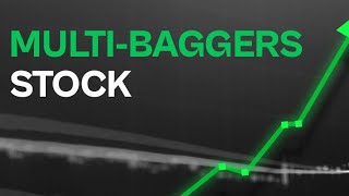 Next Multibagger Stocks