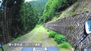 [バイク] 関ヶ原林道　2017/07撮影　復路