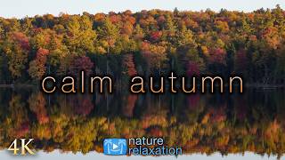 [4K] Calm Autumn from NE USA 🍁1 HR Ambient Nature Film + Soothing  Piano Music