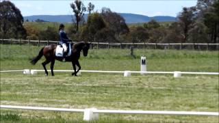 Goulburn dressage