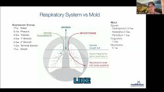 Mold Spores vs Mycotoxins: Where Do They REALLY Go In Your Body