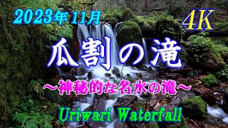 【瓜割の滝】　神秘的な名水の滝！ 【4K】 【Uriwari Waterfall】 November 5 , 2023