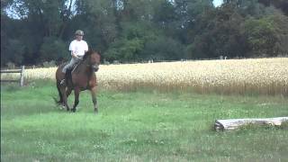 Reiten auf Gut Externbrock - Reitferien für Erwachsene \u0026 Kinder im Weserbergland - NRW