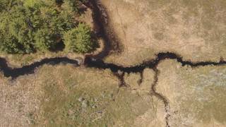 Oyster River Bog Aerial Footage