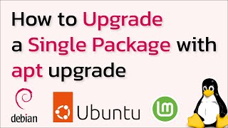 How to Upgrade a Single Package with apt on Ubuntu/Debian