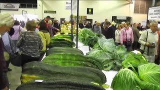 Allotment Diary : Harrogate Giant Vegetable Competition : World Record Carrot \u0026 Onion