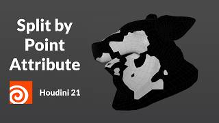 Split By Point Attribute | Houdini 21