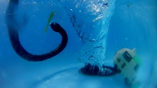 whirlpool vortex EXPERIMENTS. whirlpool. vortex.  whirlpool experiments.   experiment video #026