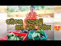 ପରିବାର ସମ୍ଭାଳୁଛି ଛାତ ବଗିଚା #Vegetable harvesting