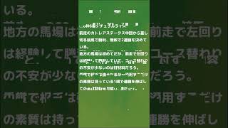 第75回 全日本２歳優駿（ＪｐｎI）【国際交流】　重賞見解 #地方競馬 #競馬予想